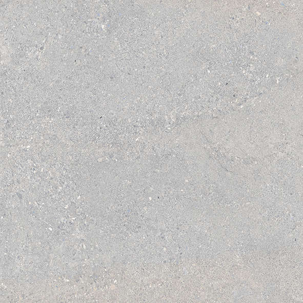 Saturn Grey 60x60 Matt (600x600)