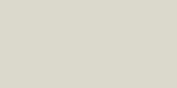 Staro Slim Monocolors Elite Mushroom 60x120 5 Matt
