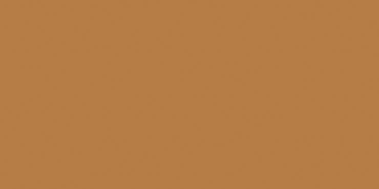 Staro Slim Monocolors Elite Ocre 60x120 5 Matt