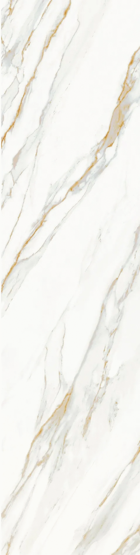 Calacata Gold Honed 800320012 (800x3200)
