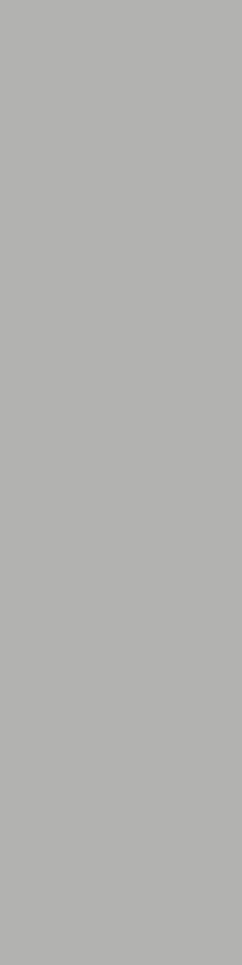 Mono Grey Matt 800320012 (800x3200)