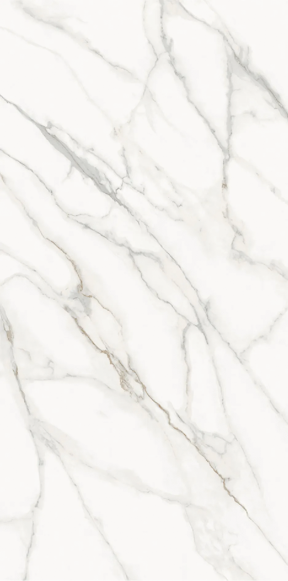 Calacatta Supreme Honed 1600320012 (1600x3200)