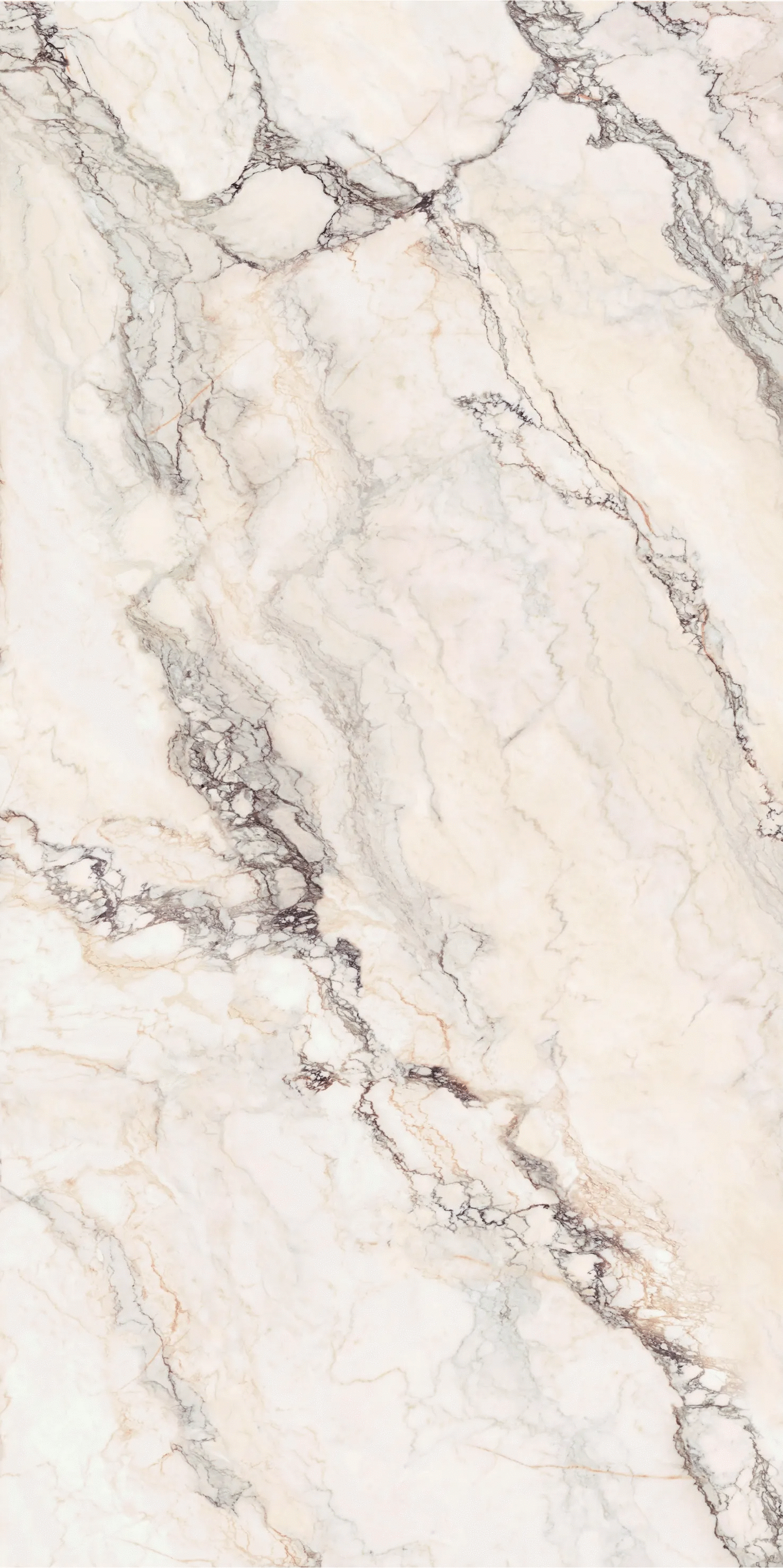 Statuario Rosso Texture 1600�3200�12 (1600x3200)