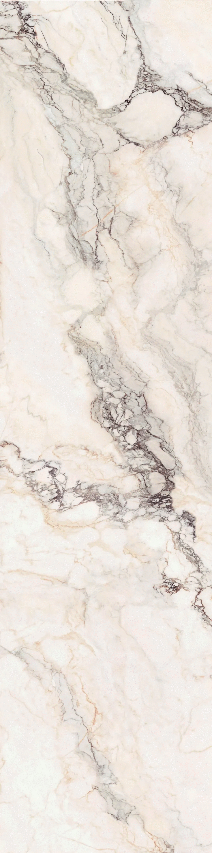 Statuario Rosso Texture 800�3200�12 (800x3200)