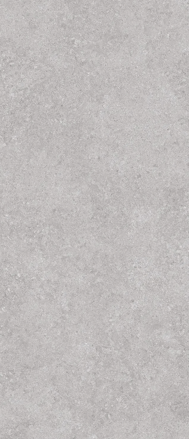 Onega Grey Xylotech Matt 2780�1200�6 (1200x2780)