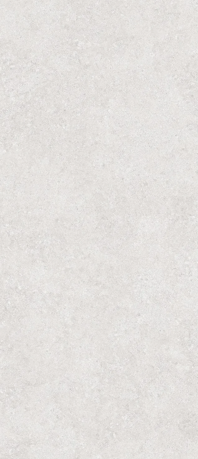 Onega Silver Xylotech Matt 2780�1200�6 (1200x2780)