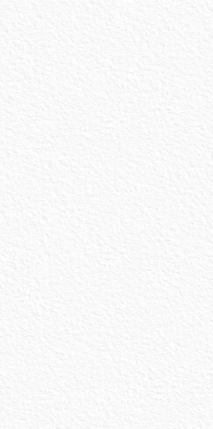 StaroSlabs Matt White Texture 1600�3200�12