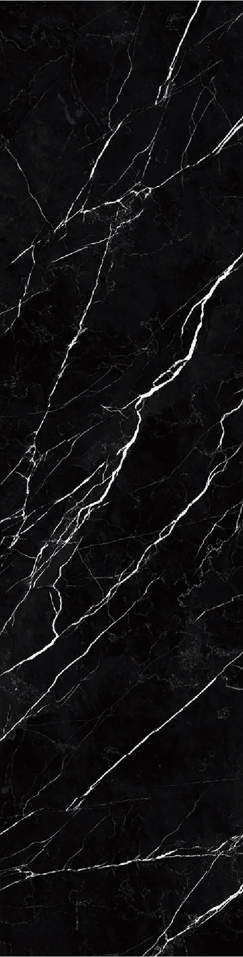 Black Marquina Polished 800320012 (800x3200)