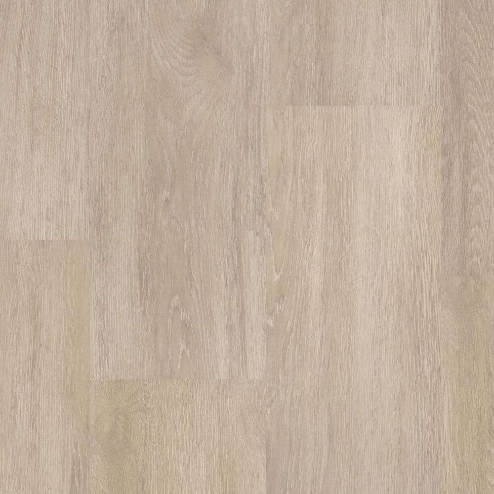 Rocky Oak (1220x201)