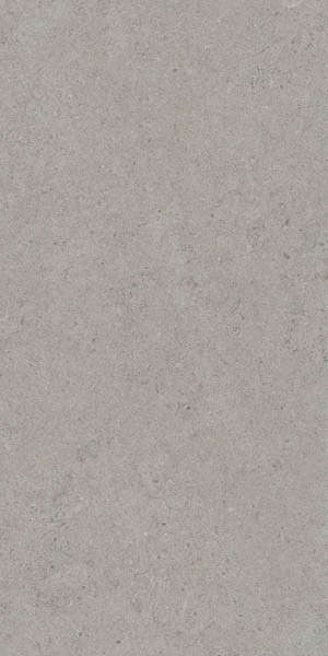 Silver 60x120 (600x1200)