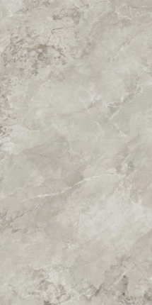 Terramic Tiles Echoed Earth   60x120