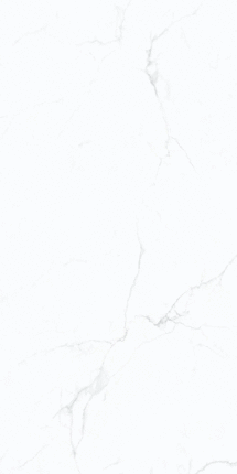 Terramic Tiles Frost Whisper   60x120