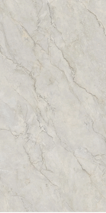 Terramic Tiles Patsha Perdesi   60x120