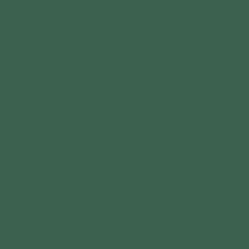 6618/1Ch Dark Green Color 18 14.614.6 (146x146)