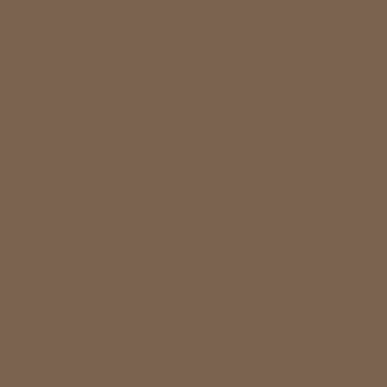 6629/1Ch Coffe Brown Color 29 14.614.6 (146x146)