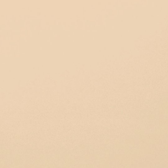 Оранжево-персиковый Матовый (600x600)