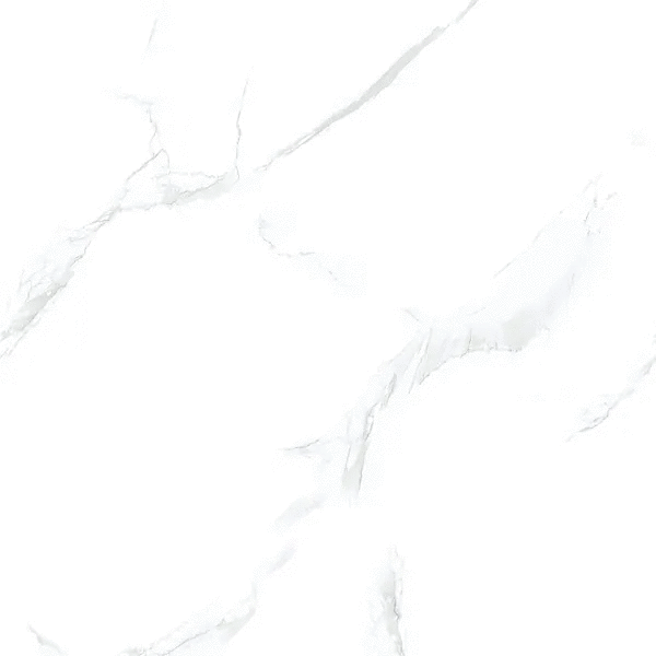 Carrara Classic Glossy 6060 (600x600)