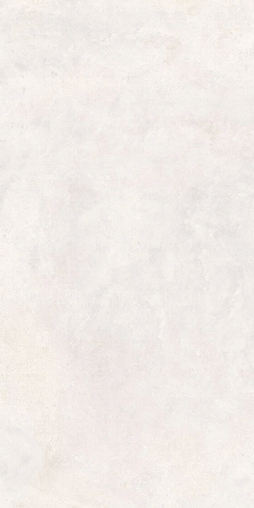   R10A  9 60x120 (600x1200)