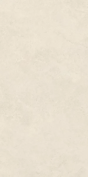  R10A 60x120 (600x1200)