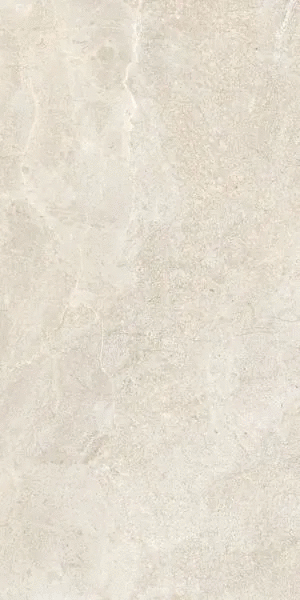  R10A 60x120 (600x1200)
