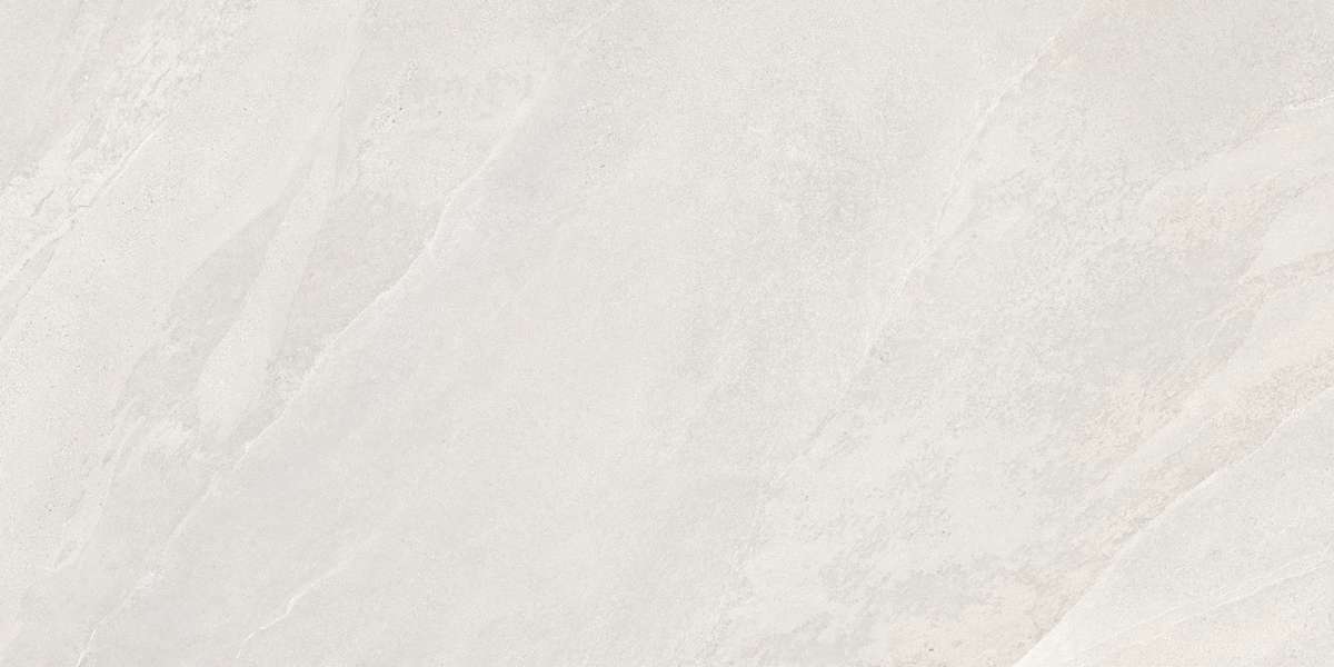 Vitra SlateStone   R10B  60x120 -5