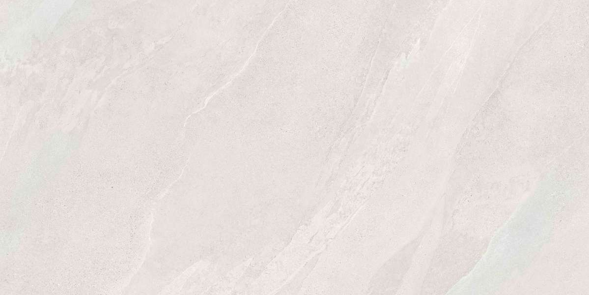 Vitra SlateStone   R10B  60x120 -6