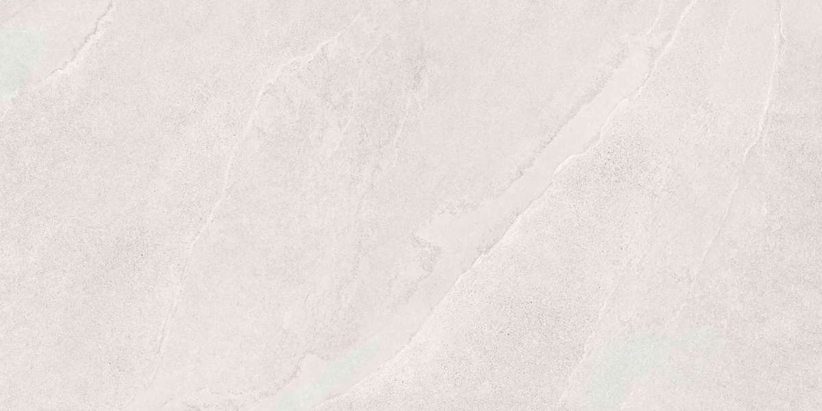 Vitra SlateStone   R10B  60x120 -11