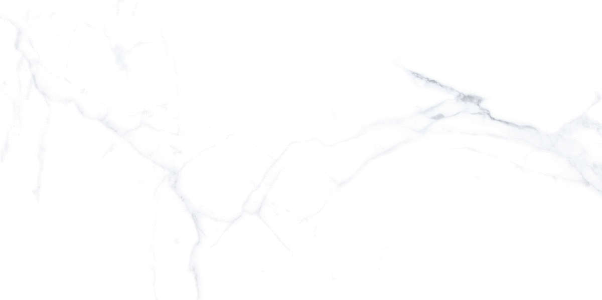 Vitra Statuario   R10A  60x120 -7