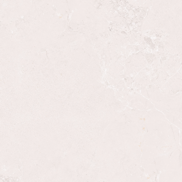 Vizavi Butterfly ZA-B60347 MR 60x60x9 ����-2