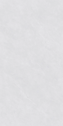 Vizavi Glazed ZA-D12602 PR 1200x600x9