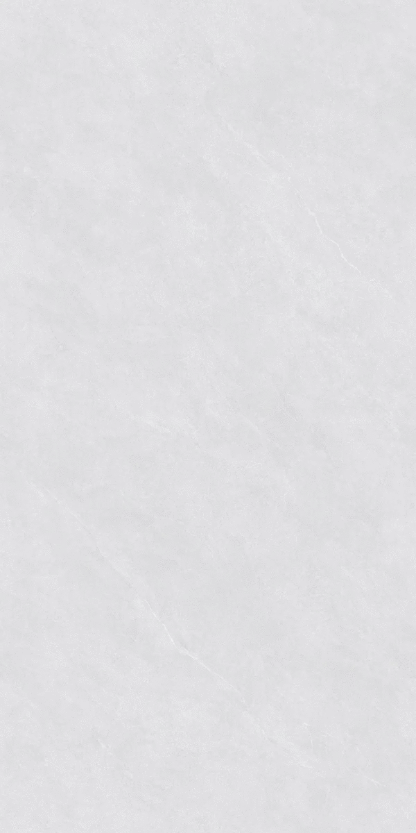 ZA-D12602 PR 1200x600x9 (600x1200)