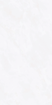Vizavi Glazed ZA-D12603 PR 1200x600x9