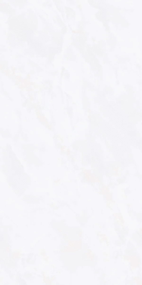 ZA-D12603 PR 1200x600x9 (600x1200)