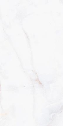 Vizavi Glazed ZA-D12607 PR 1200x600x9