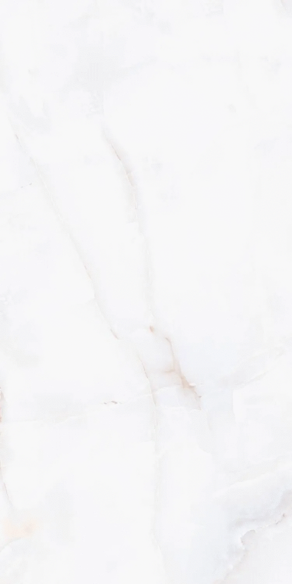 ZA-D12607 PR 1200x600x9 (600x1200)