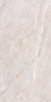 Vizavi Glazed ZA-D12608 PR 1200x600x9