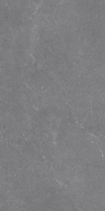 Vizavi Glazed ZA-DJ12590 ������� 1200x600x9