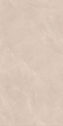 Vizavi Glazed ZA-DJ12591 ������� 1200x600x9