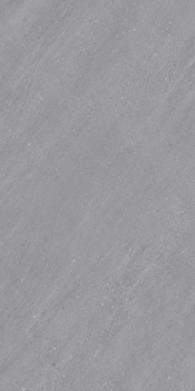 Vizavi Glazed ZA-DJ12592 ������� 1200x600x9