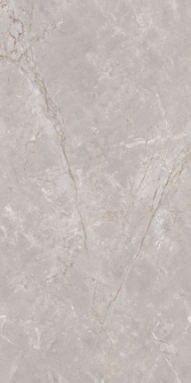 Vizavi Glazed ZA-DJ12597 ������� 1200x600x9