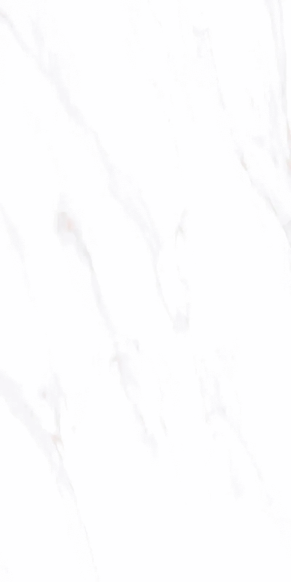 ZA-L12604 PR 1200x600x9 (600x1200)