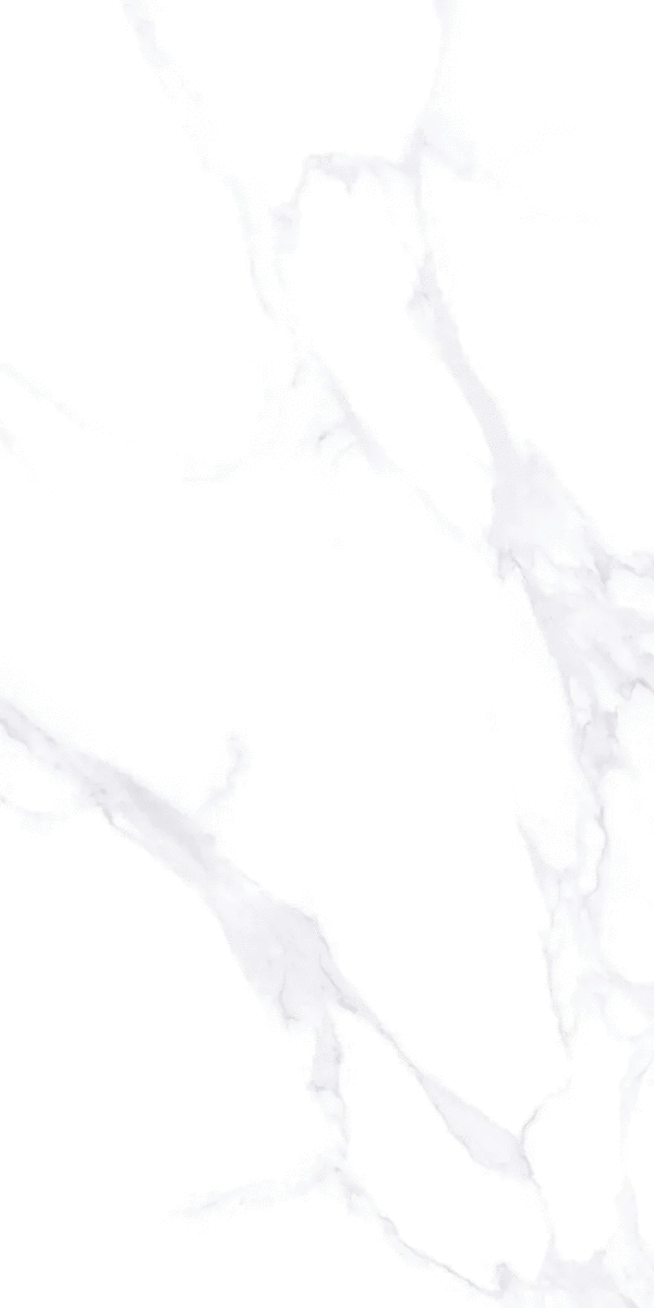ZA-L12605 PR 1200x600x9 (600x1200)