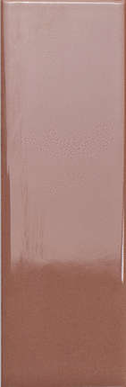 Wow Bits Chestnut Gloss 3.7x11.6