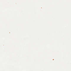 Wow Mestizaje Zellige White