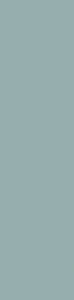 Liso XL Teal (75x300)