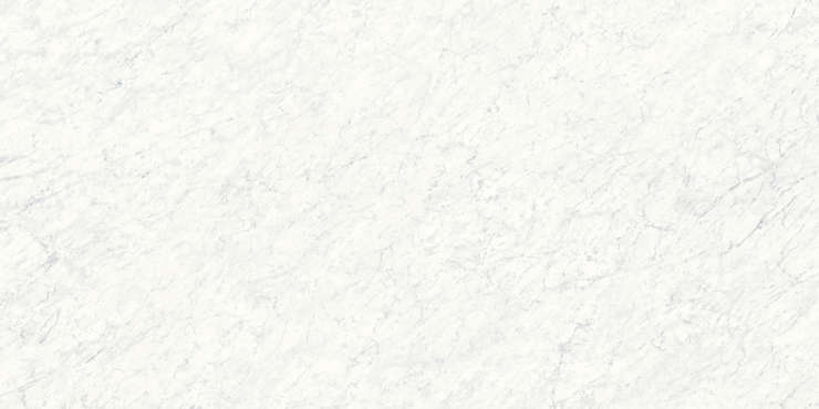 X-Light Carrara Premium 120x250 White Polished 6 