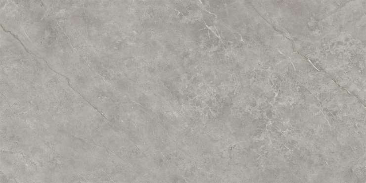X-Light Fiori Di Bosco Premium 120x250 Polished 6 мм