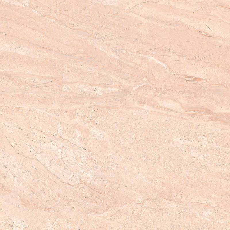 Beige 8080 (800x800)