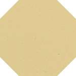 Oct.15 Vanilla Van 15x15 (150x150)