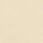 Cx.15 Super White Bas 15x15 (150x150)